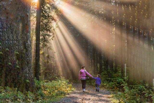 Mother and daughter walking through forest