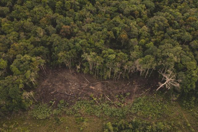 Aerial view of deforestation in the Colombian Amazon.