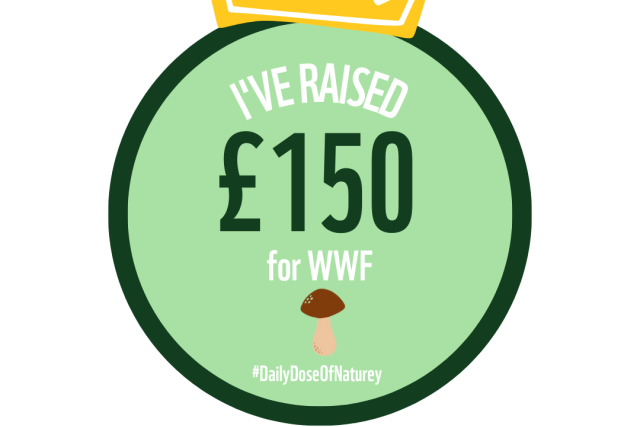60 Miles in November fundraising badge