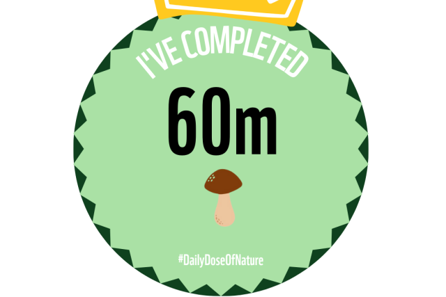 60 Miles in November milestone badge