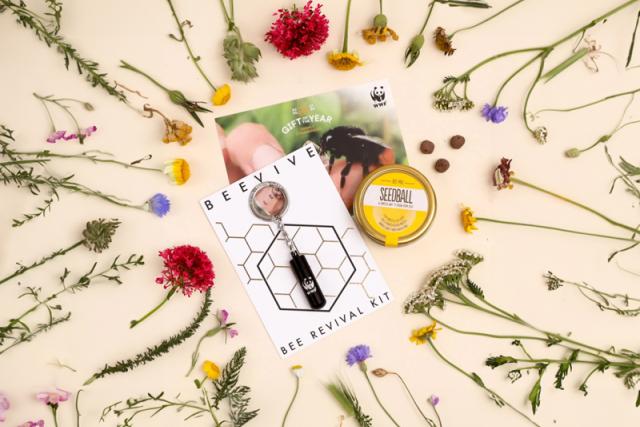 Product image for The Original Bee Revival Kit