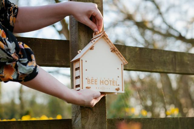DIY Bee Hotel Kit, designed by Beevive's very own Architectural Technician and bee enthusiast Jacob Powell.