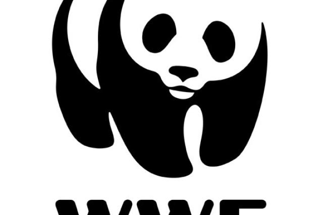 A black pumpkin stencil of the WWF logo