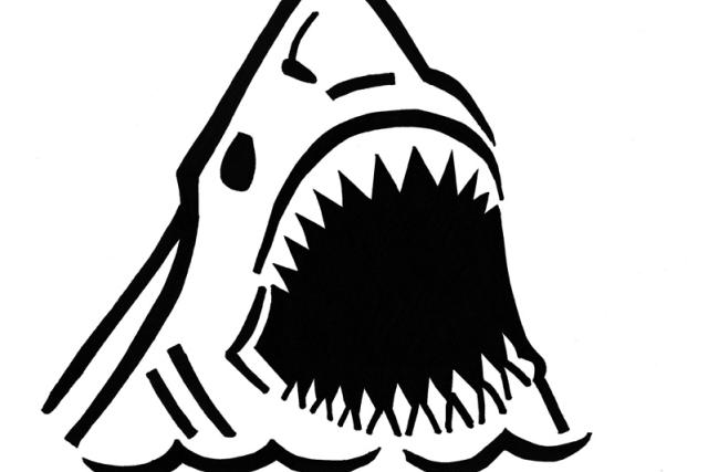 A black pumpkin stencil of a shark