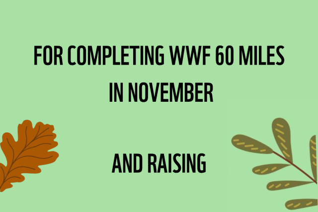 Congratulations for completing 60 Miles in November blank certificate