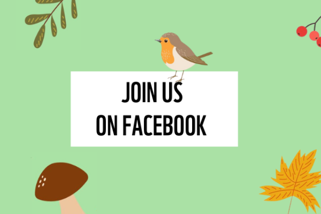 Join our facebook group with bird, leaf and berries icons
