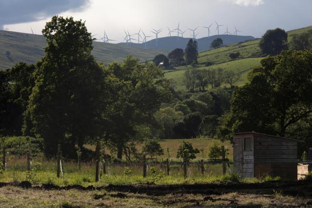 Views from Little Trochry Farm in Dunkeld, Perthshire, Scotland. In the background is views of hills and wind turbines.