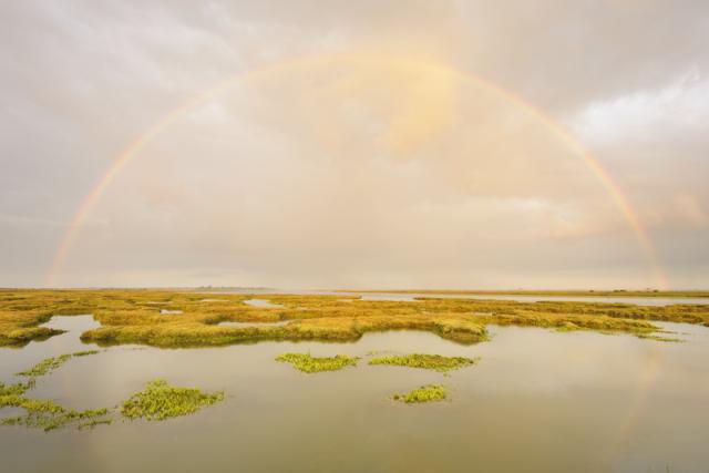 UK maps its blue carbon stores