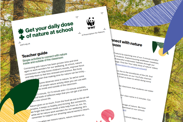 Daily dose teacher activity guide image