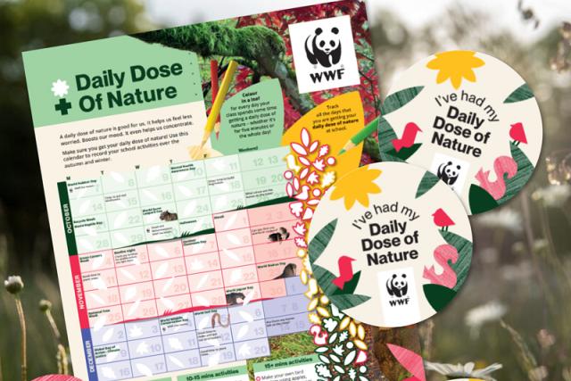 Schools planner