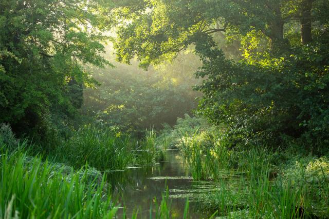 Early morning sunlight breaks through tree canopy on the river Nar, near Castle Acre, Norfolk, UK.