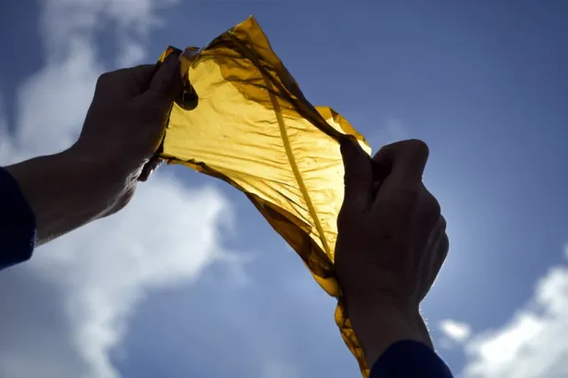 Person holding seaweed to the sky