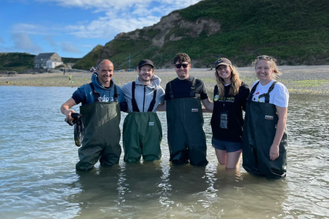 The WWF Cymru team and ambassador Iwan Rheon, knee high in the sea and wearing waders, during a seagrass seed collection trip in Porthdinllaen, Wales