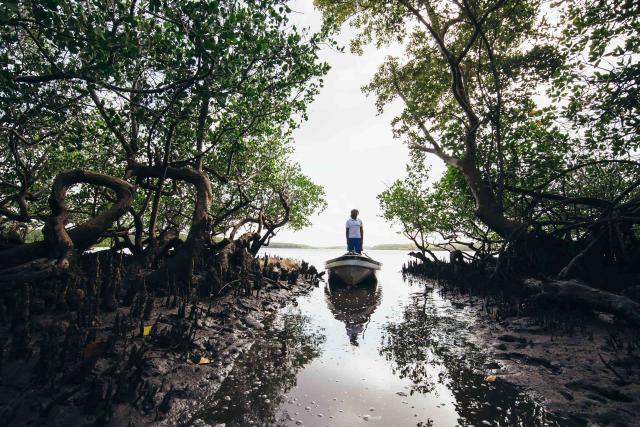  Mike Olendo, WWF Coastal Kenya Programme Marine Project Coordinator, travels through the mangroves in Lamu seascape, Kenya