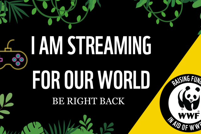 Livestream BRB screen, black and yellow tropical theme