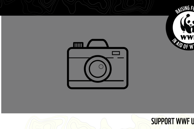 Livestream camera frame, black and white with WWF supporter logo