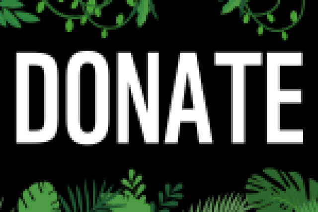 Livestream donate panel , black and yellow with wwf supporter logo