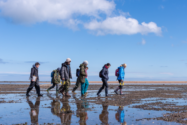 Seagrass monitoring in East Lothian, Scotland