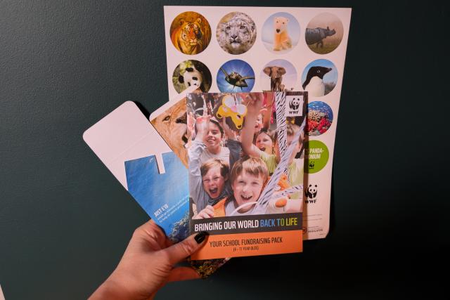 A picture of the school fundraising pack that includes a booklet, WWF stickers and a collection pot