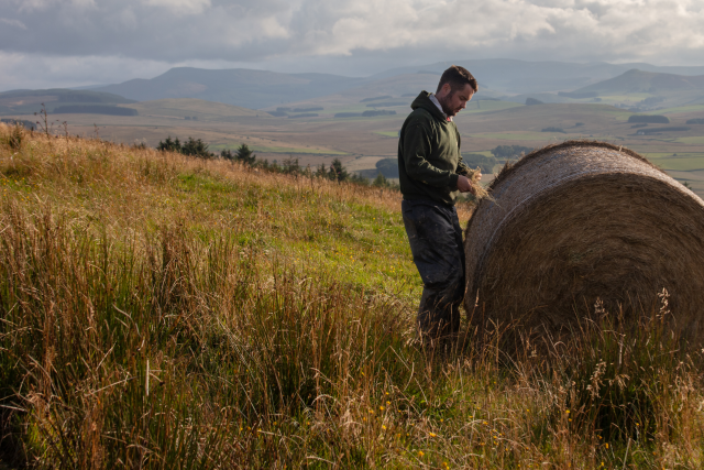 Stuart inspecting hay bales on Whitriggs Farm, The Scottish Borders