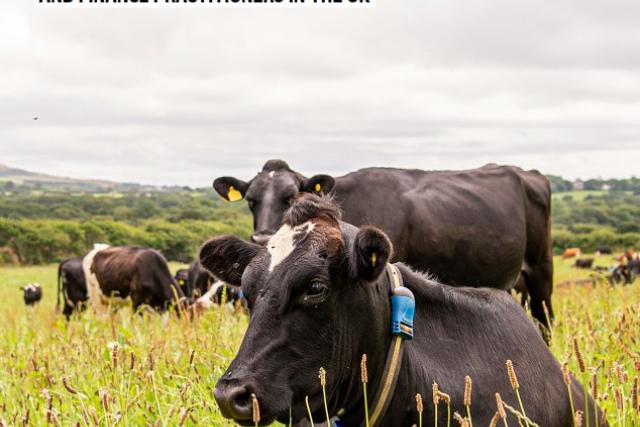 Cover image for the Guidance for farming consultants and finance practitioners report