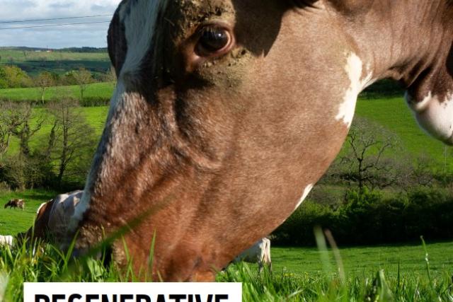 Cover image for 'Transition costs and benefits' report