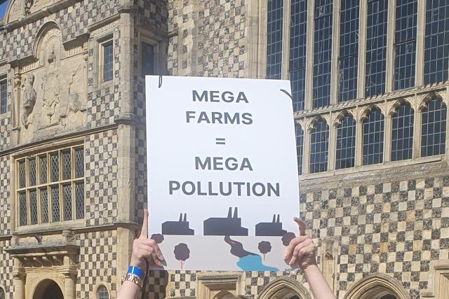 Woman holding up sign saying 'megafarms = mega pollution'