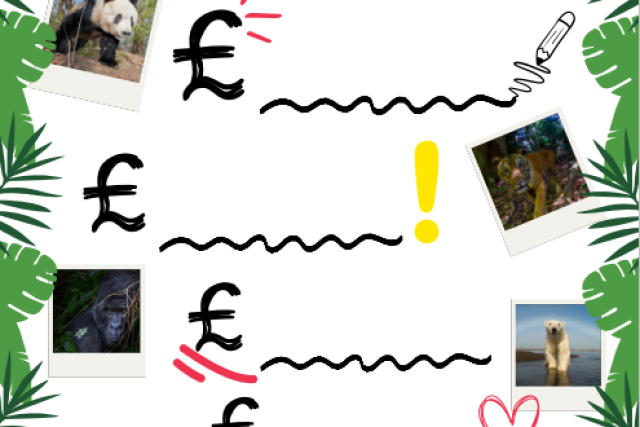 A school fundraising totaliser