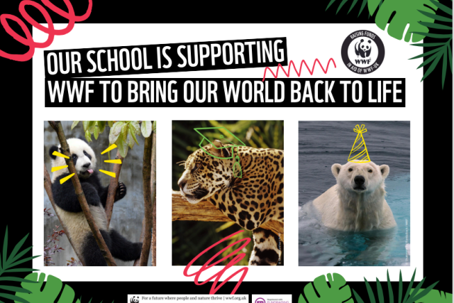 A poster for schools to show they're fundraising for WWF