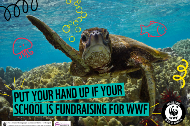 A poster of a turtle saying a school is supporting WWF