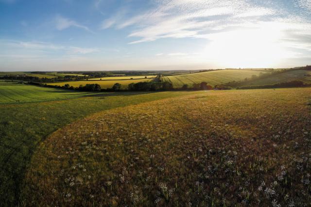 drone panoramic of a wildflower meadow set amongst the patchwork of agricultural fields with barley monocrop in ythe background in Norfolk, UK.