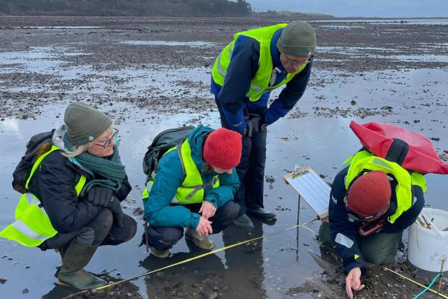 Group of volunteers conducting citizen science on the beach