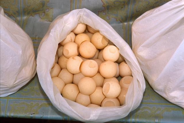 Turtle eggs in plastic bags ready to be sold