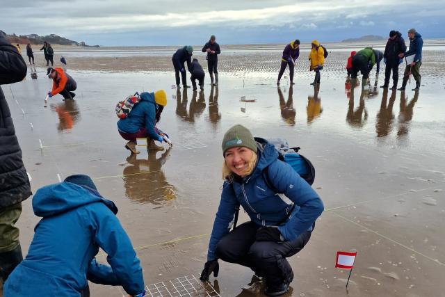 People planting seagrass into sand