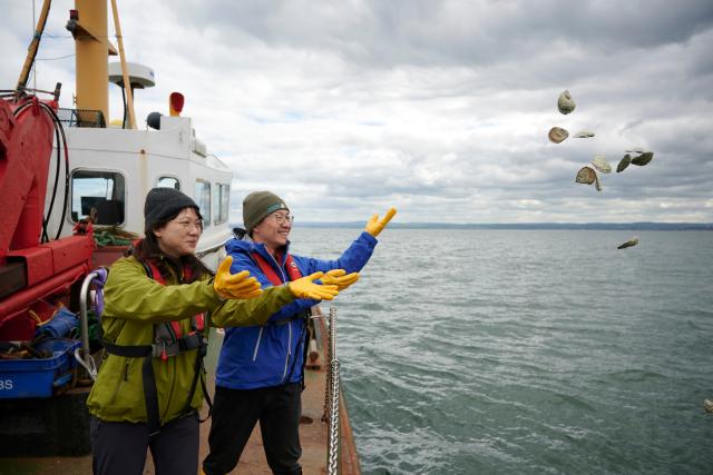 People throwing oysters into the sea