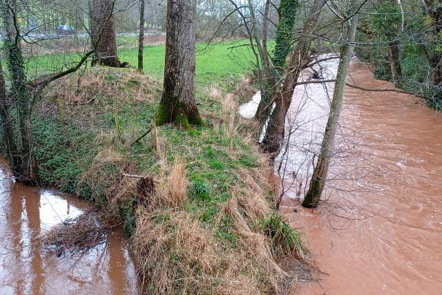 An image of a river with brown water after pollution