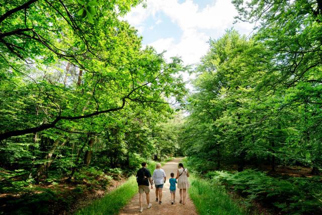 Feel good forest trails family shot through forest