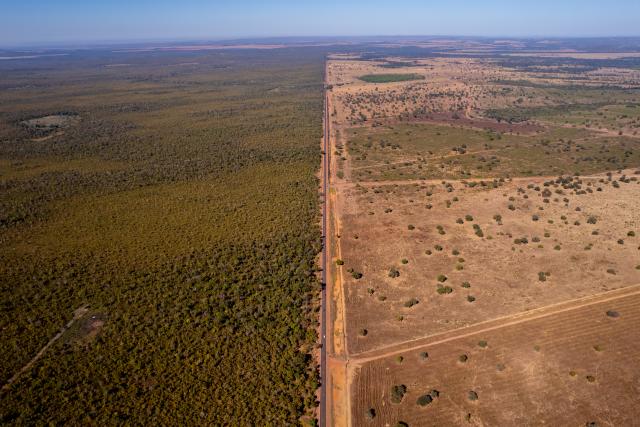 A road separates the Amazon rainforest and deforested land