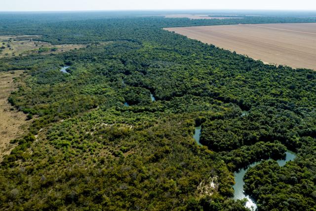 Legal Amazon on Mato Grosso State, Center-West Region of Brazil.