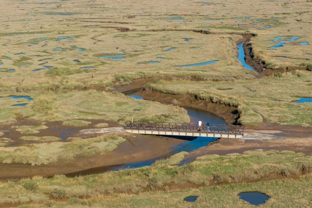 Members of the public use the newly installed bridge at Stiffkey Marshes. Stiffkey, North Norfolk, UK.