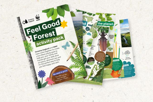 forestry activity banne