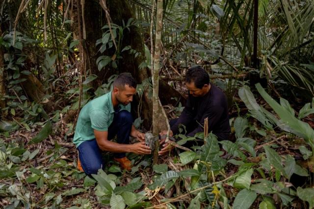 Participants in a coexistence workshop in Apuí, in the south of the Brazilian Amazon, learning to install camera traps to support researchers' work and understanding of wildlife in the region.