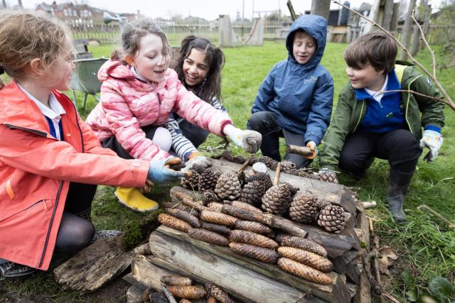 School children collecting and using wood and pinecones to build bug hotels. Bitterne Park Primary School / Southampton / Hampshire / UK.