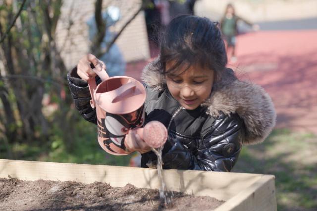 Pupils take part in Nature friendly activities