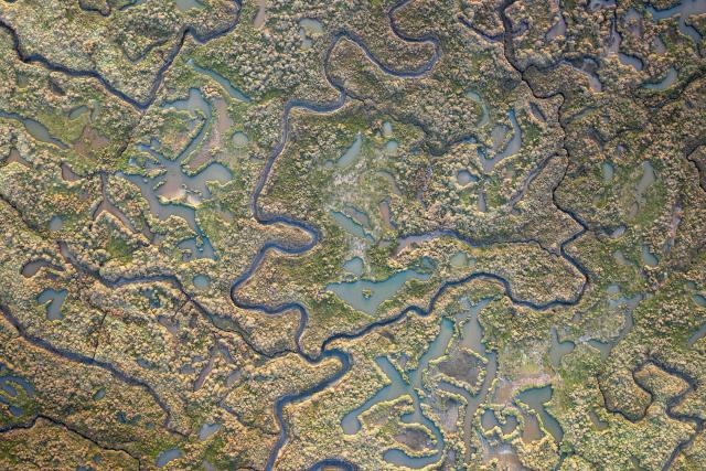 Drone shot of Stiffkey Marshes as tide comes in. Stiffkey Marshes, Stiffkey, North Norfolk, UK.