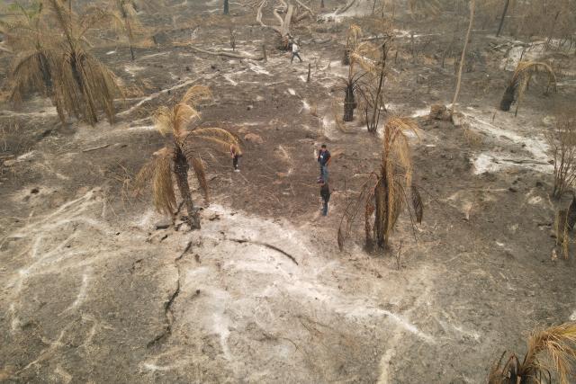 Bolivia Forest fire aftermarth