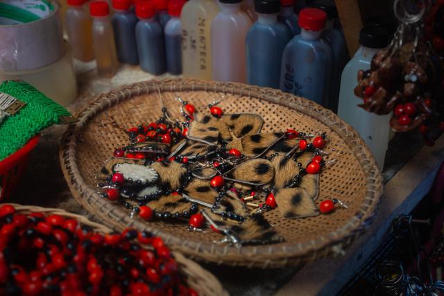 Bowl of Jaguar fur earrings sold at a markets