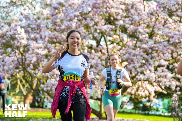 Runner in Kew Gardens with tree blossoms
