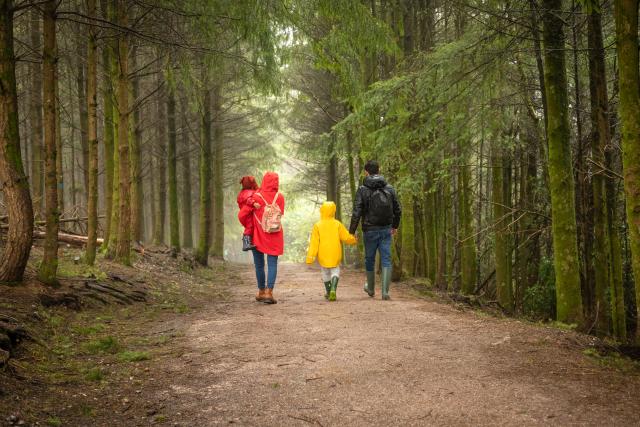 A family in bright coloured coats walking through a forest.