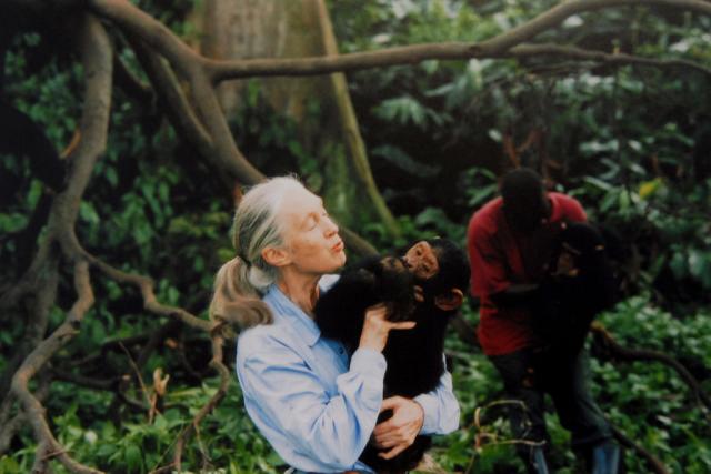 Jane Goodall